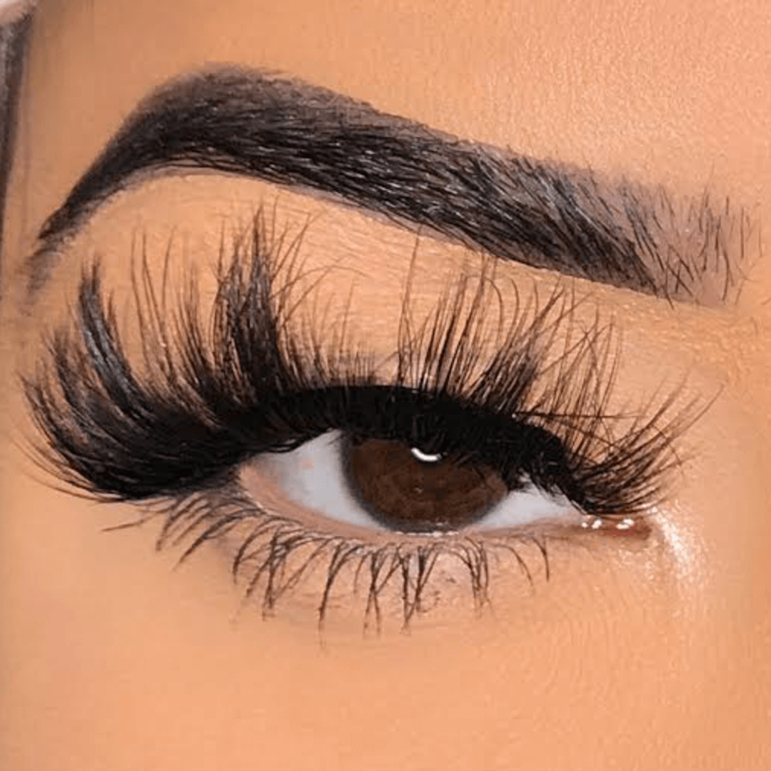 Hollywood eyelashes online