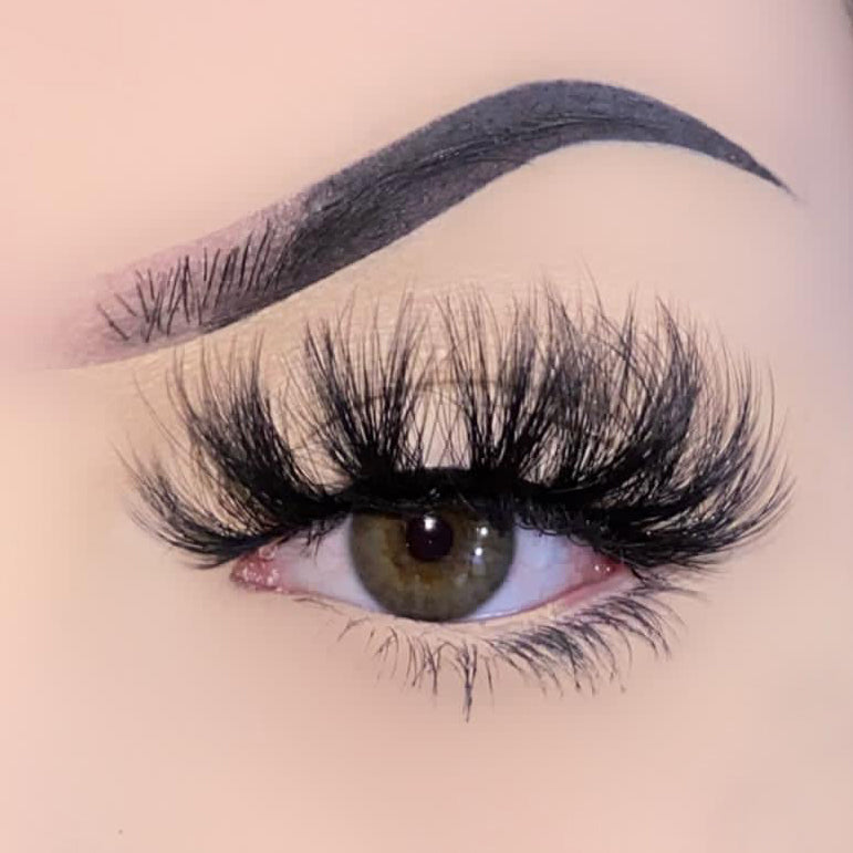 FEATURE - Hollywood Lash